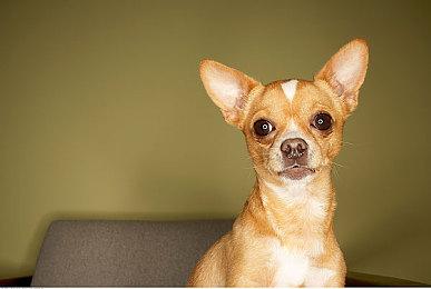 《街头霸王6》将追加全新机能 支持角色BGM定制